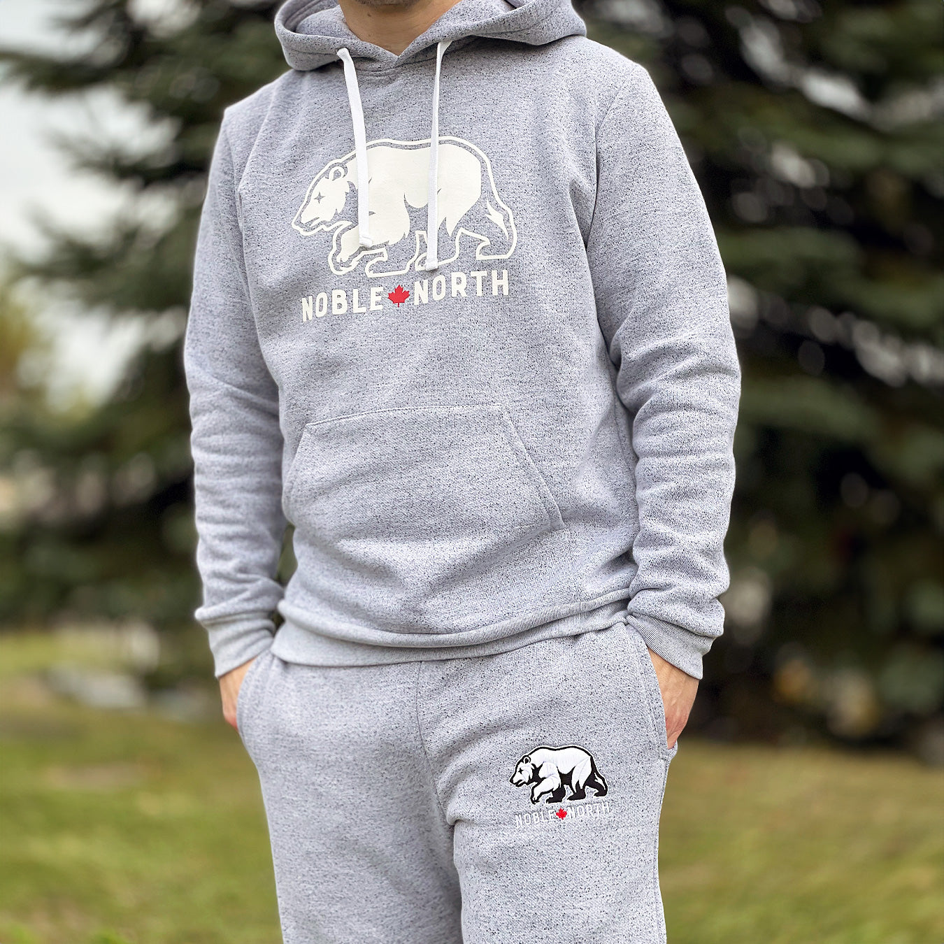 Bear Explorer - Salt & Pepper Hoodie - Front (Unisex)