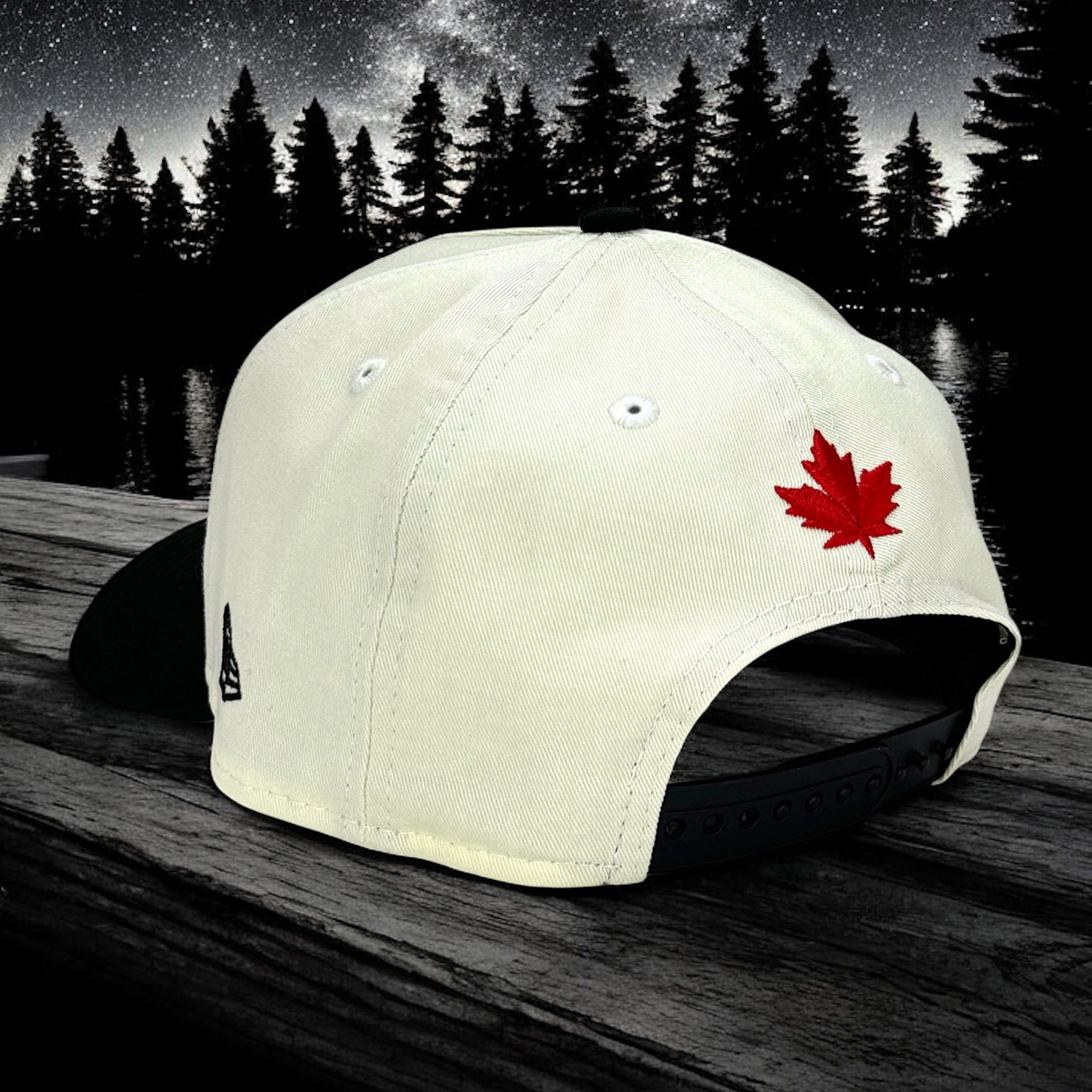 North Script - Chrome & Black New Era 9Forty A-Frame Snapback - Back