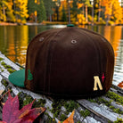 A dark brown flat-brim baseball cap with a green visor, placed on a mossy log by a lake with autumn trees in the background. The cap features a green New Era flag logo on the side and a tan and red North Star logo on the back.