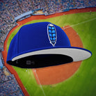 Blue Jay Feather - Royal New Era 59Fifty - Undervisor