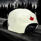 North Script - Chrome & Black New Era 9Forty A-Frame Snapback - Back